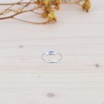 Anillo Hoja de Plata de Ley - Imagen 2