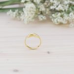 Anillo Delfín de Oro