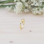 Anillo Delfín de Oro - Imagen 2