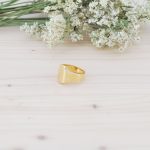 Anillo Orilla de Oro - Imagen 2