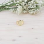 Anillo Orilla de Oro - Imagen 4