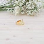 Anillo Orilla de Oro - Imagen 5